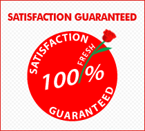 �ѱ� �ɹ�� ��Ÿ �ɹ�� ���� ���� 100% ����