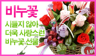 �ѱ� �ɹ�� ��Ÿ �񴩲� �ɹ��