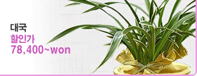 �ѱ� �ɹ�� ��Ÿ ����� �뱹 �ɹ��