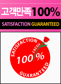 �ѱ� �ɹ�� ��Ÿ �ɹ�� ���� ���� 100% ����