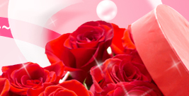 �ѱ� �ɹ�� ��Ÿ �����ǳ� �ɹ��
