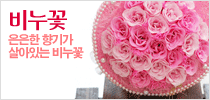 �ѱ� �ɹ�� ��Ÿ �񴩲� �ɹ��