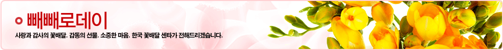 »©»©·Îµ¥ÀÌ