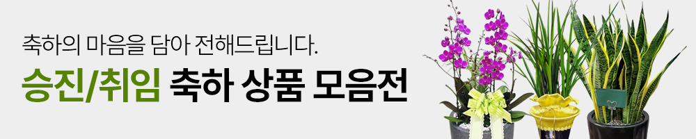 한국꽃배달센터 승진취임 축하상품