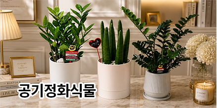 한국꽃배달센터 화분(소)